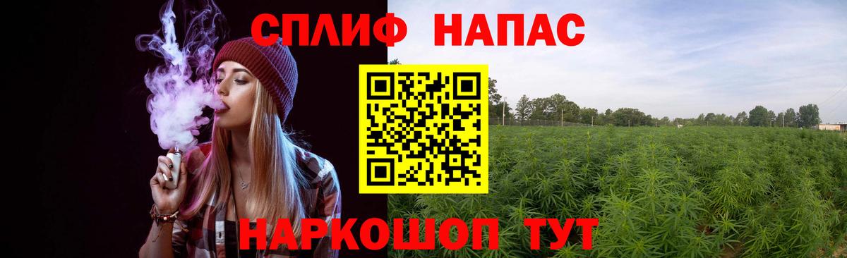 Ставрополь  Шишки марихуана SATIVA & INDICA  Бошки Шишки марихуана  Вход с VPN 
